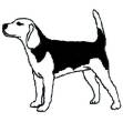 Picture of Beagle Outline Machine Embroidery Design