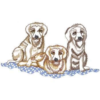 Golden Retriever Puppies Machine Embroidery Design