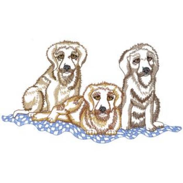 Picture of Golden Retriever Puppies Machine Embroidery Design