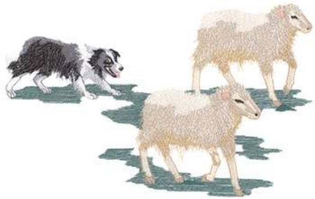 Picture of Border Collie And Sheeps Machine Embroidery Design