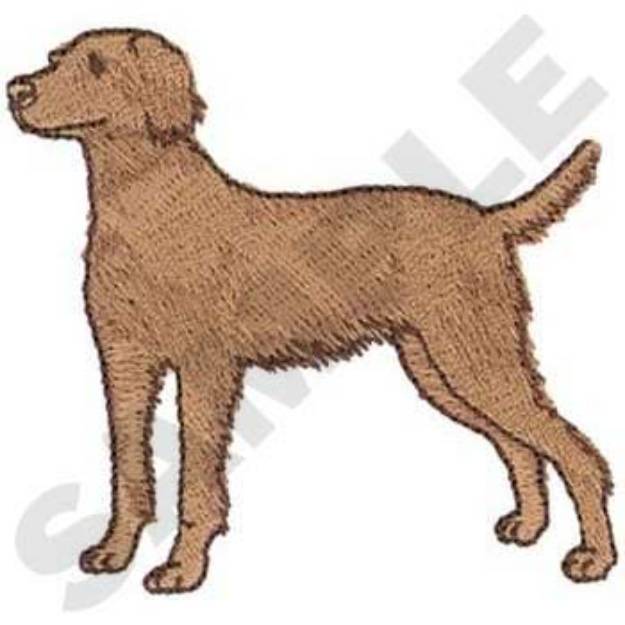 Picture of Long Haired Weimaraner Machine Embroidery Design