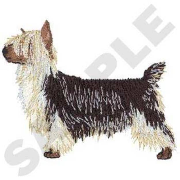 Picture of Silky Terrier Machine Embroidery Design