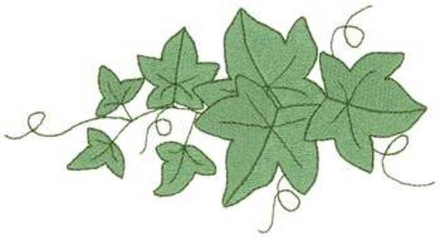 Picture of Ivy Vine Machine Embroidery Design
