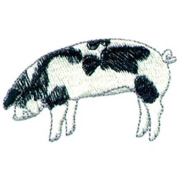 Picture of Spotted Pig Machine Embroidery Design