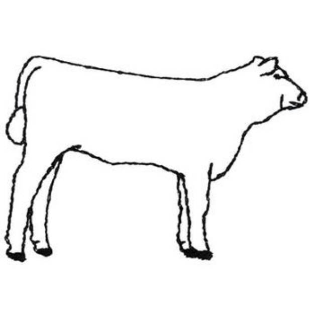 Picture of Show Heifer Outline Machine Embroidery Design