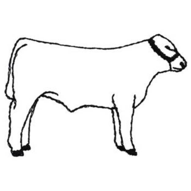 Picture of Show Steer Outline Machine Embroidery Design