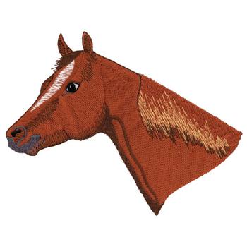 Quarter Horse Head Machine Embroidery Design