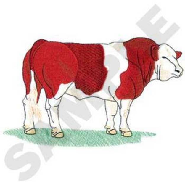 Picture of Simmental Bull Machine Embroidery Design
