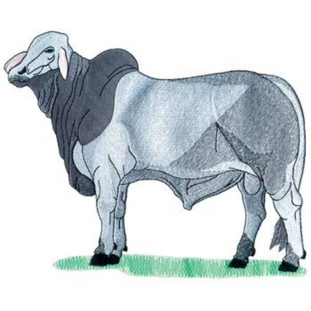 Picture of Brahman Bull Machine Embroidery Design