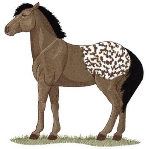 Picture of Large Appaloosa Machine Embroidery Design