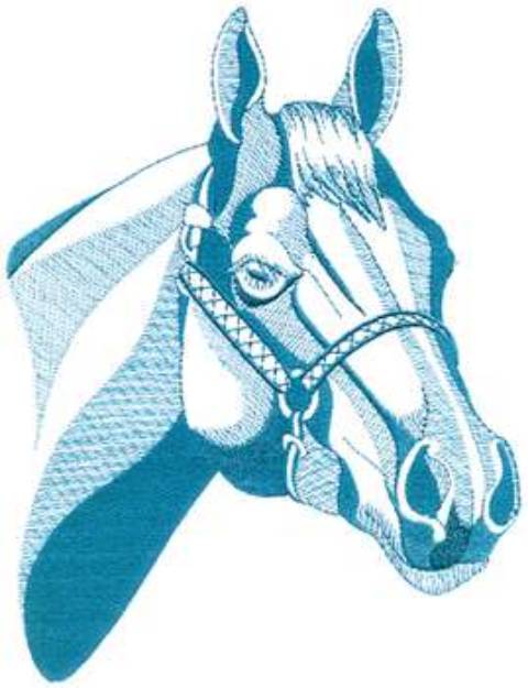 Picture of Quarter Horse Outline Machine Embroidery Design