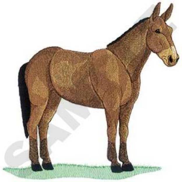 Picture of Large Mule Machine Embroidery Design