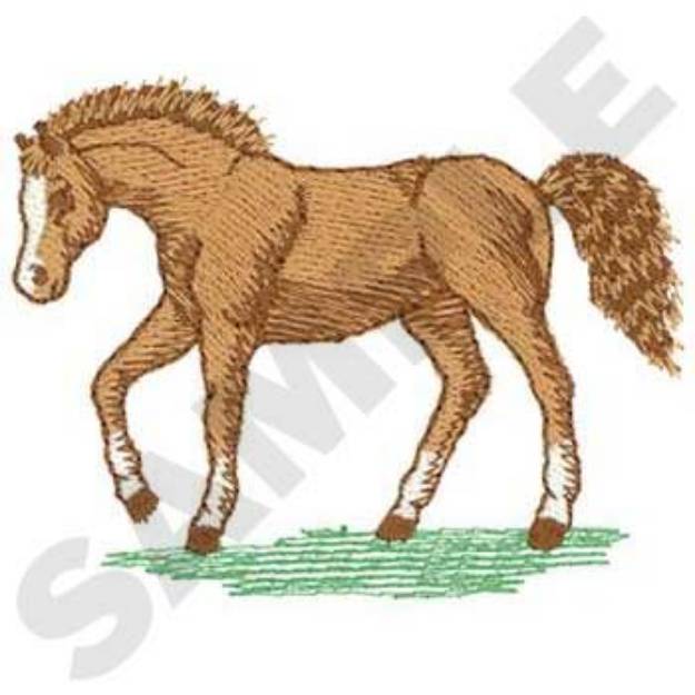 Picture of Foal Machine Embroidery Design
