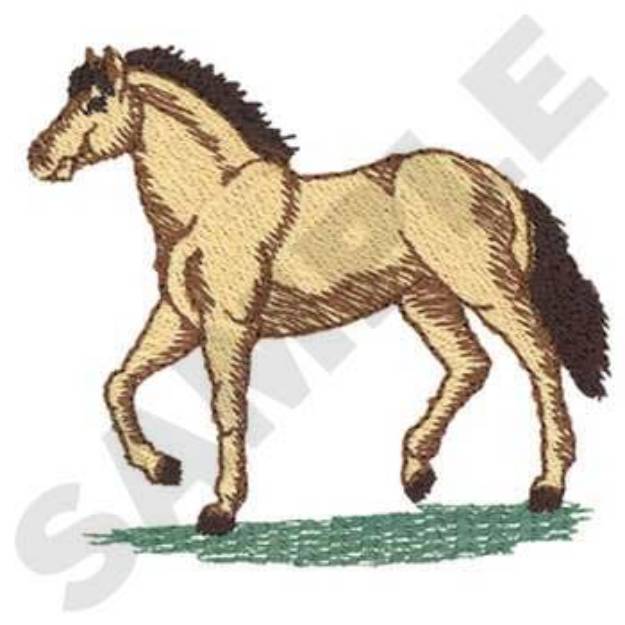 Picture of Paso Fino Horse Machine Embroidery Design