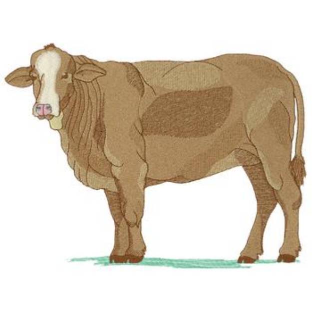 Picture of Heifer Machine Embroidery Design