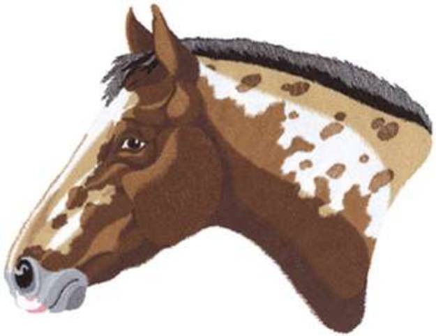 Picture of Appaloosa Head Part 1 Machine Embroidery Design