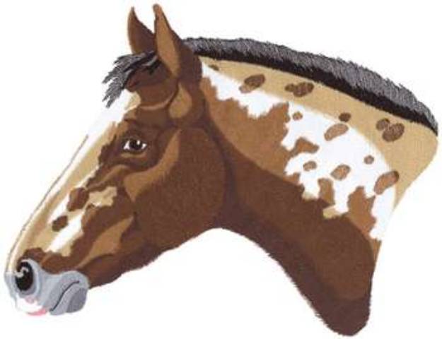Picture of Appaloosa  Head Part 2 Machine Embroidery Design