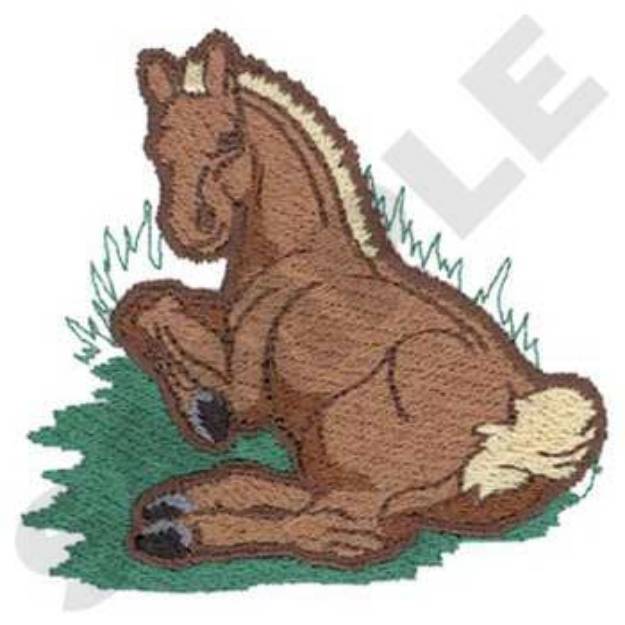 Picture of Foal Machine Embroidery Design