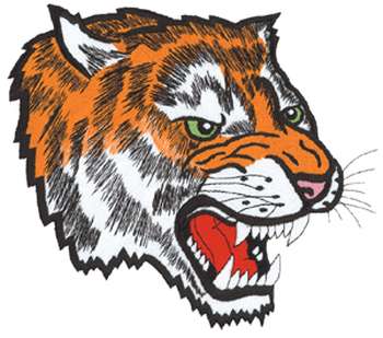 Tiger Head Mascot Machine Embroidery Design