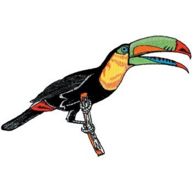 Picture of Toucan Machine Embroidery Design