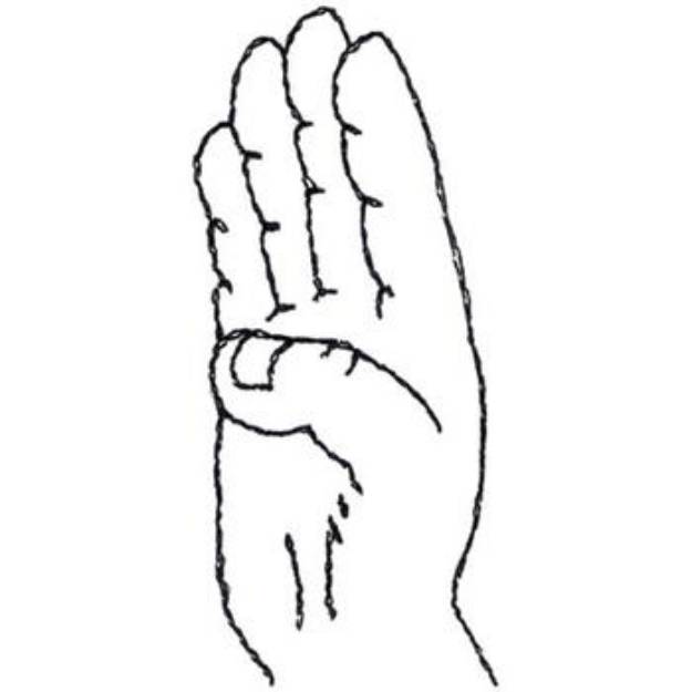 Picture of Sign Language Letter B Machine Embroidery Design