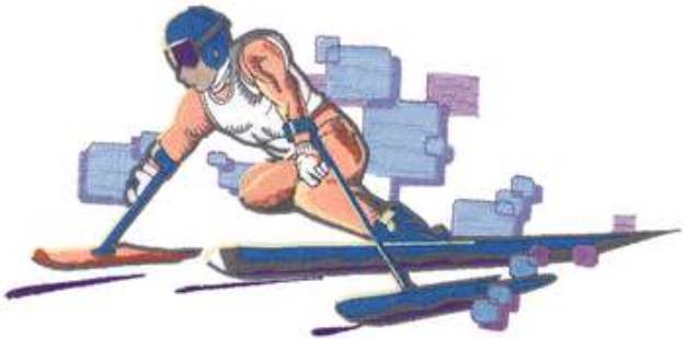 Picture of Paralympic Skier Machine Embroidery Design