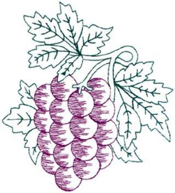 Picture of Sm. Grapes Machine Embroidery Design