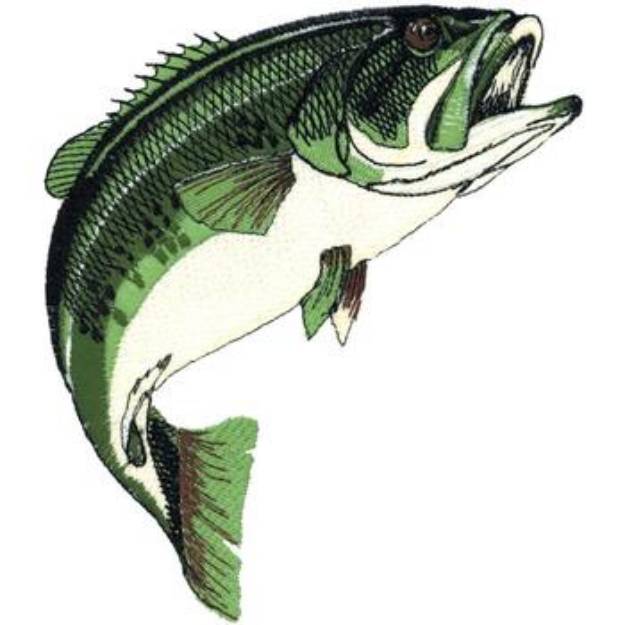 Picture of Large Mouth Bass Applique Machine Embroidery Design