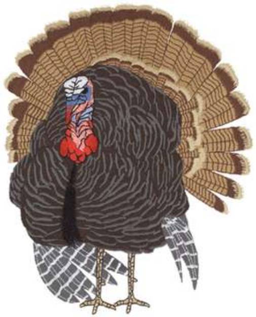 Picture of Eastern Turkey Machine Embroidery Design