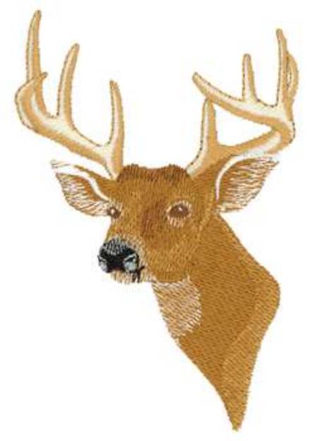 Picture of White Tail Deer Head Machine Embroidery Design