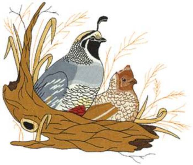 Picture of Nesting Quail Machine Embroidery Design