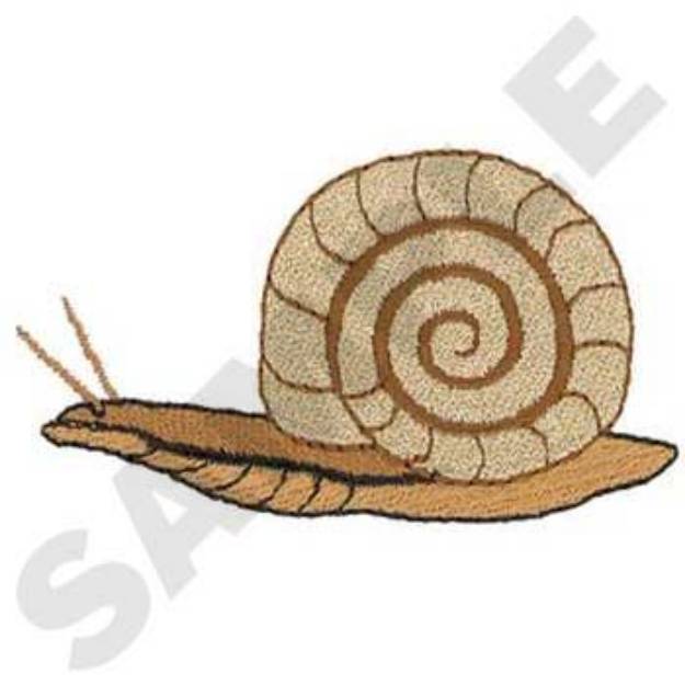 Picture of Snail Machine Embroidery Design