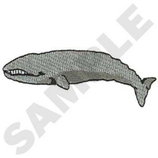 Picture of Gray Whale Machine Embroidery Design