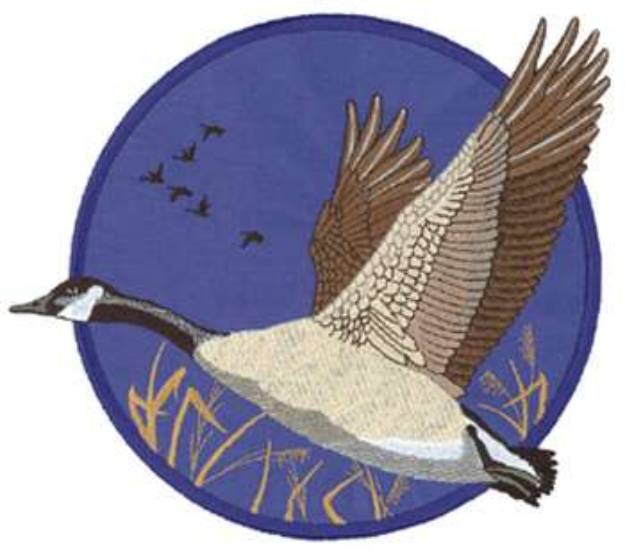 Picture of Canadian Goose Applique Machine Embroidery Design