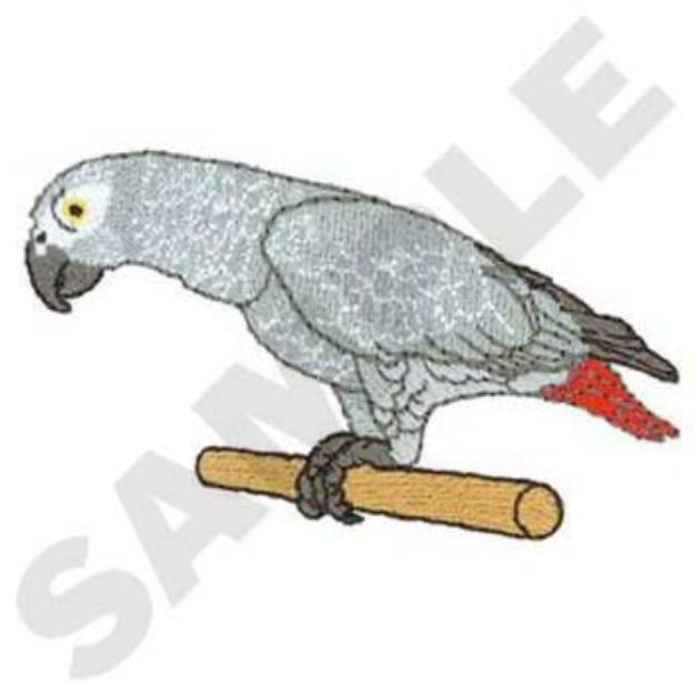 Picture of African Gray Machine Embroidery Design
