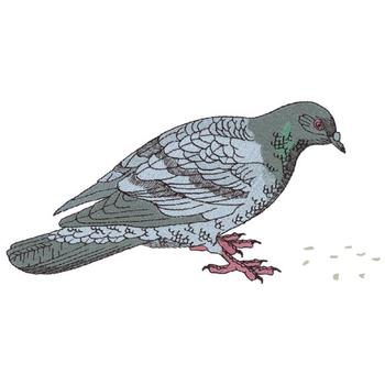 Pigeon Machine Embroidery Design