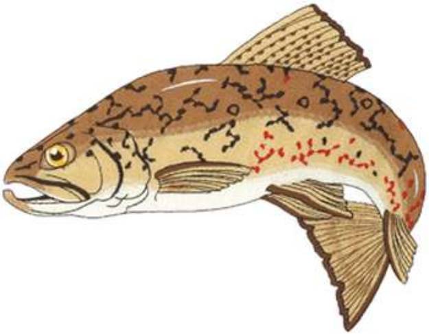 Picture of  Brown Trout Machine Embroidery Design