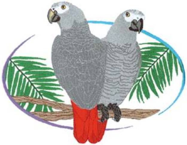 Picture of African Gray Parrots Machine Embroidery Design