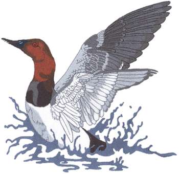 Canvasback Duck Machine Embroidery Design