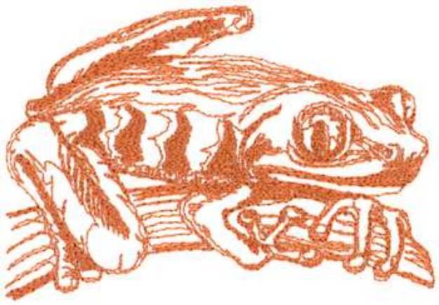 Picture of Sketch Frog Machine Embroidery Design