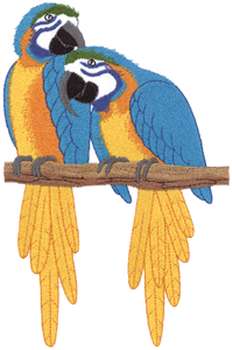 Macaw Parrots Machine Embroidery Design