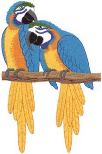 Picture of Macaw Parrots Machine Embroidery Design