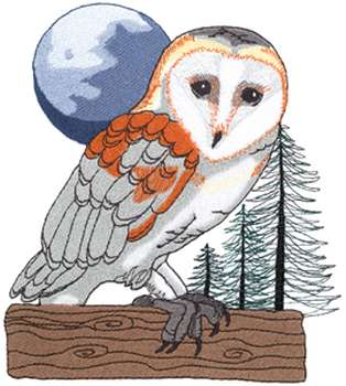 Barn Owl Machine Embroidery Design