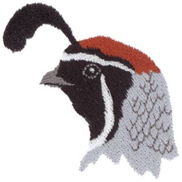 Picture of Gambels Quail Machine Embroidery Design