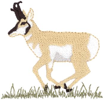 Pronghorn Antelope Machine Embroidery Design