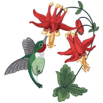 Hummingbird & Columbine Machine Embroidery Design