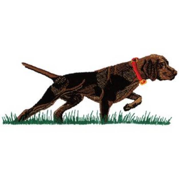 Picture of Pointing Vizla Machine Embroidery Design
