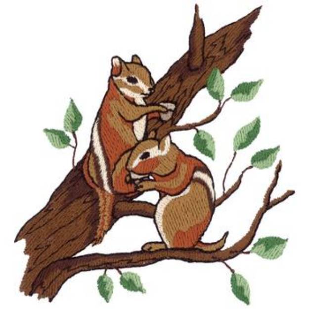 Picture of Chipmunks Machine Embroidery Design