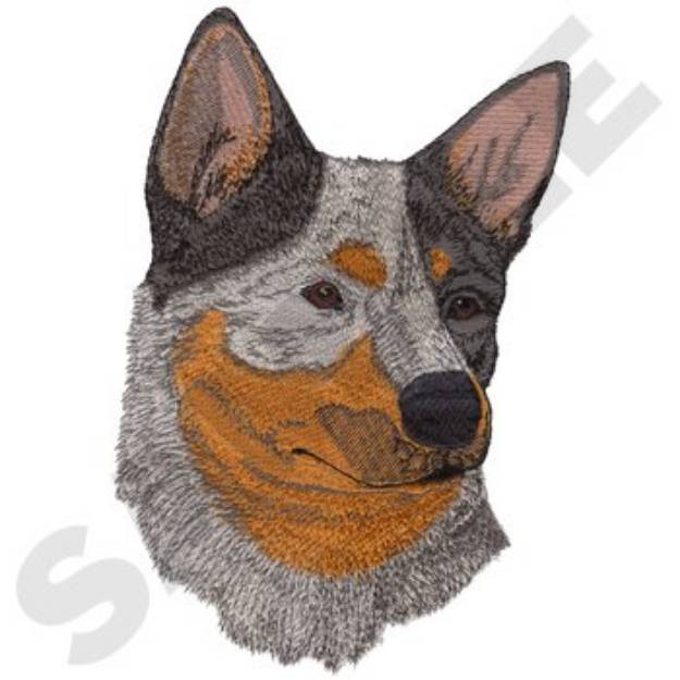 Picture of Blue Heeler Machine Embroidery Design