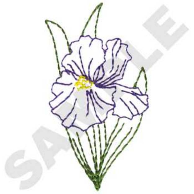 Picture of Iris Outline Machine Embroidery Design